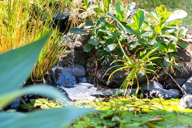 exterior details with a small pond