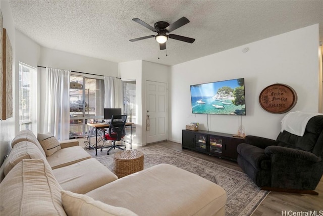 living room featuring ceiling fan, a textured ceiling, and light hardwood / wood-style flooring