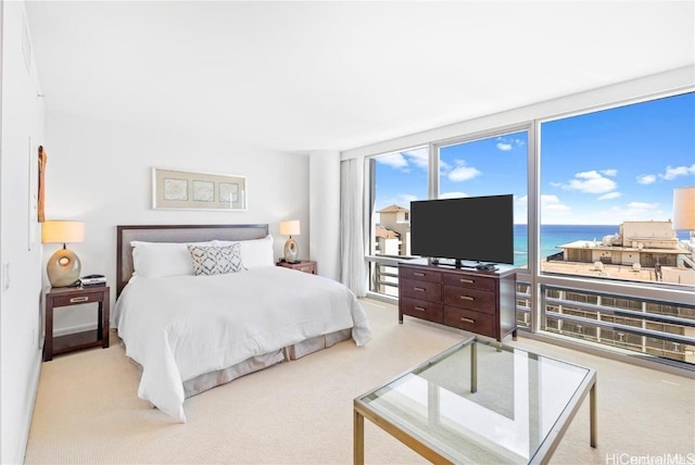 carpeted bedroom with floor to ceiling windows