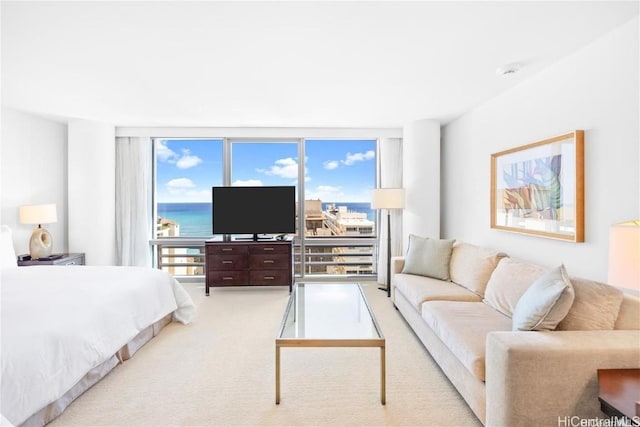 bedroom featuring floor to ceiling windows and light colored carpet