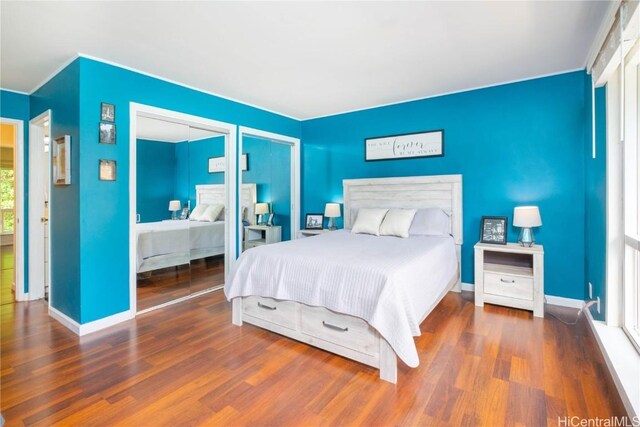 bedroom featuring dark hardwood / wood-style floors and a closet