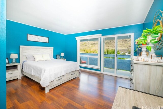 bedroom featuring dark wood-type flooring and access to exterior