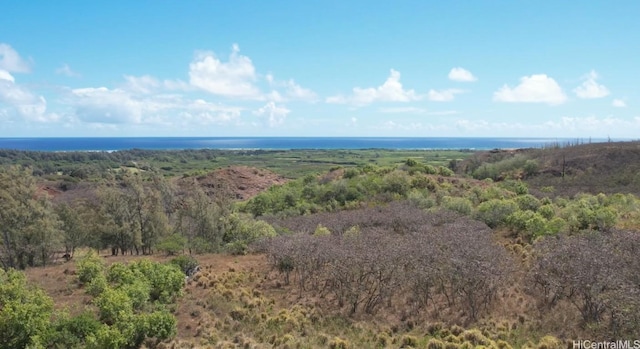 Listing photo 3 for 56-1060 Kamehameha Hwy, Kahuku HI 96762