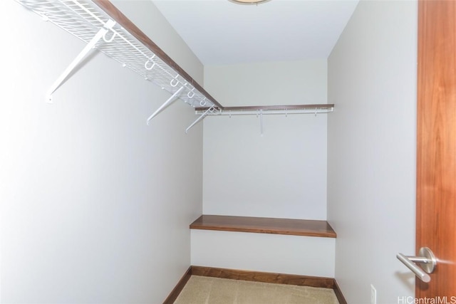 walk in closet with carpet