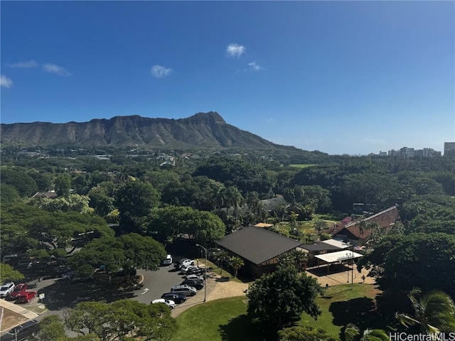 birds eye view of property featuring a mountain view