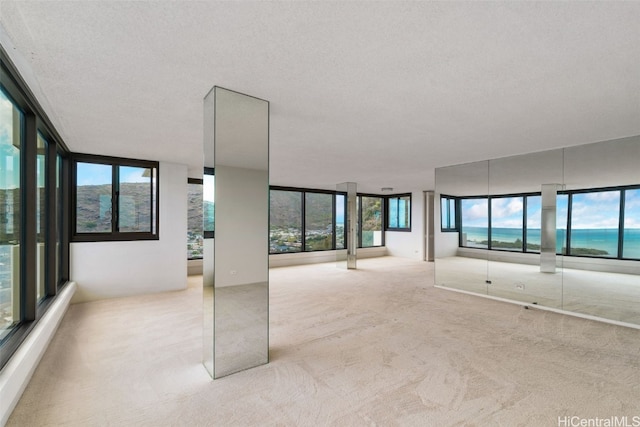 empty room with light carpet and a wealth of natural light