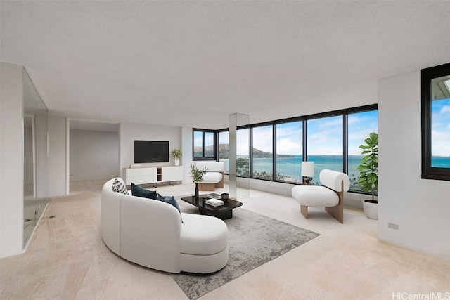 carpeted living room featuring floor to ceiling windows and a textured ceiling