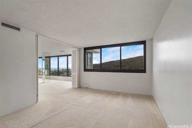 unfurnished room featuring a textured ceiling and light carpet