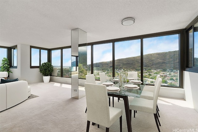 carpeted dining space featuring a textured ceiling and a mountain view