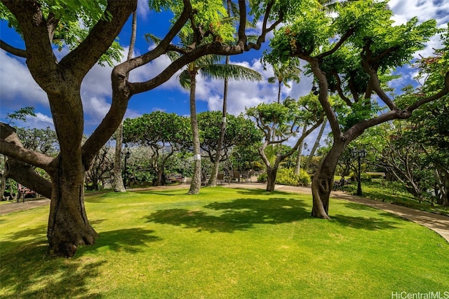 view of home's community with a yard