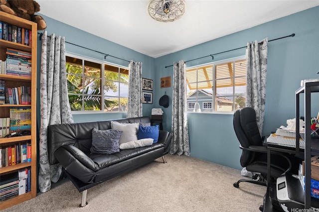 87-1980 Pakeke St Unit J, Waianae, HI 96792 - office space featuring carpet floors