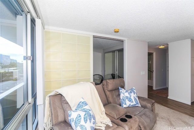 living room featuring a textured ceiling and hardwood / wood-style floors