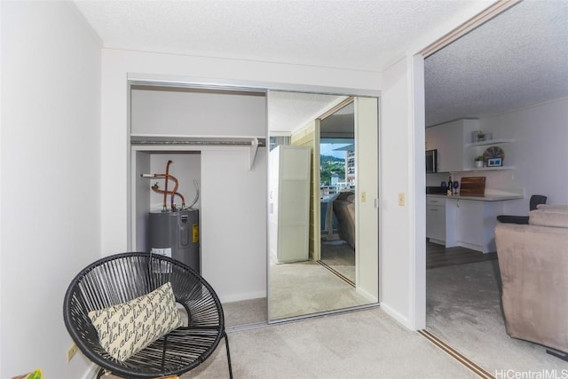 interior space with electric water heater