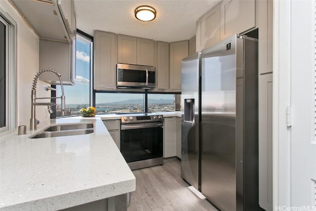 kitchen featuring a textured ceiling, stainless steel appliances, light wood-type flooring, gray cabinets, and sink