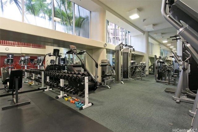 workout area with a towering ceiling