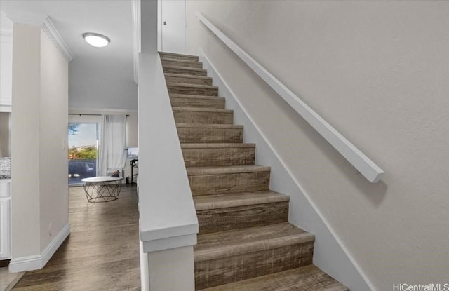 stairs featuring wood finished floors