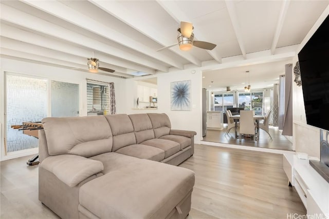 living room featuring ceiling fan, light hardwood / wood-style floors, and beamed ceiling