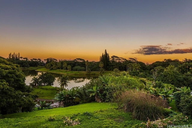 nature at dusk featuring a water view