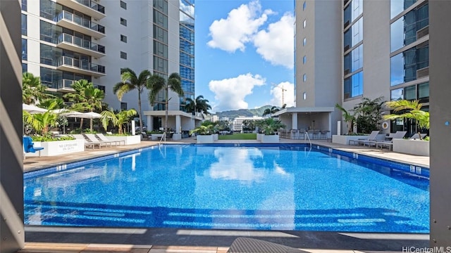 view of swimming pool with a mountain view and a patio