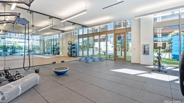 workout area featuring french doors and a healthy amount of sunlight