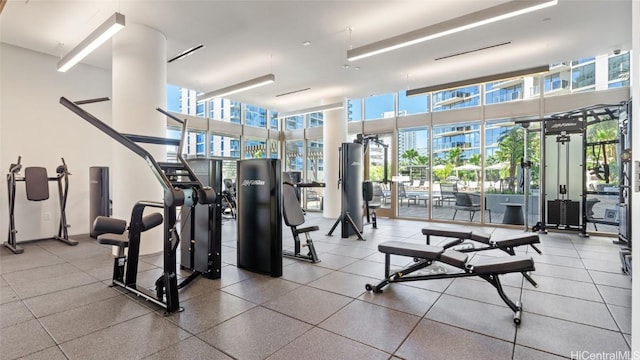 gym featuring a wealth of natural light