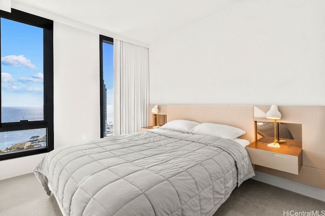 carpeted bedroom with a water view