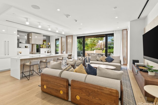 living room with light hardwood / wood-style floors