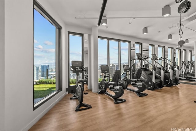 exercise room with plenty of natural light and hardwood / wood-style floors