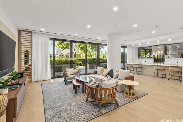 living room with light wood-type flooring