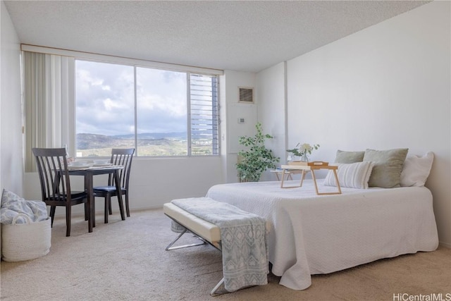 bedroom featuring a mountain view, carpet floors, and a textured ceiling