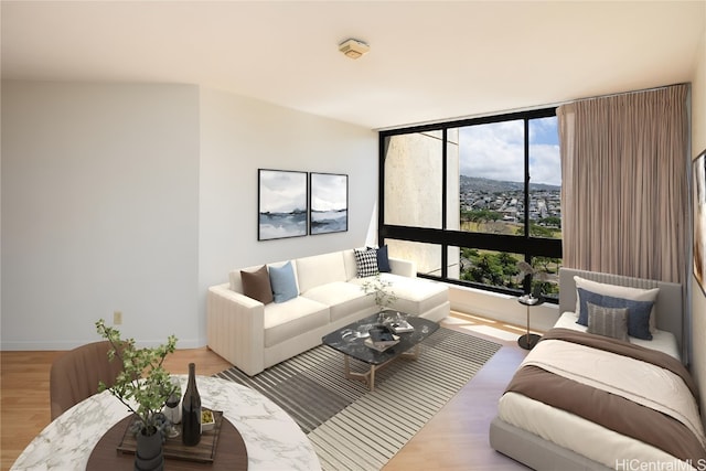 living room with light hardwood / wood-style floors