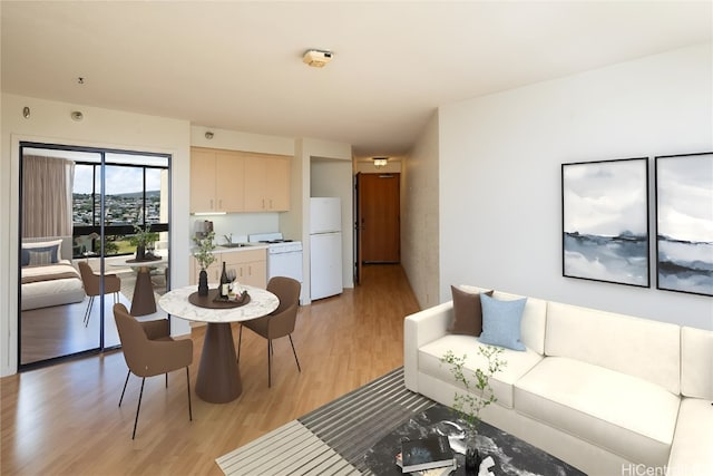 living room with sink and light hardwood / wood-style flooring