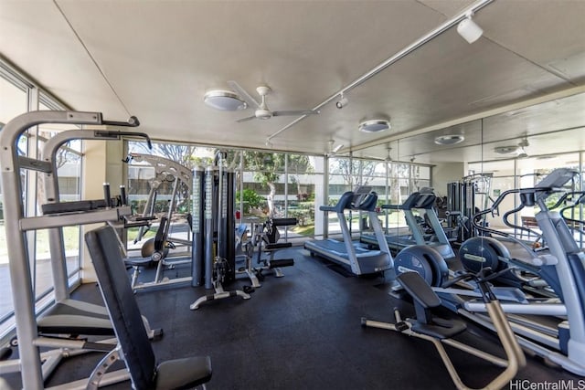 exercise room with ceiling fan, track lighting, and a wall of windows