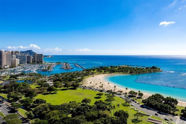 aerial view with a water view and a view of the beach