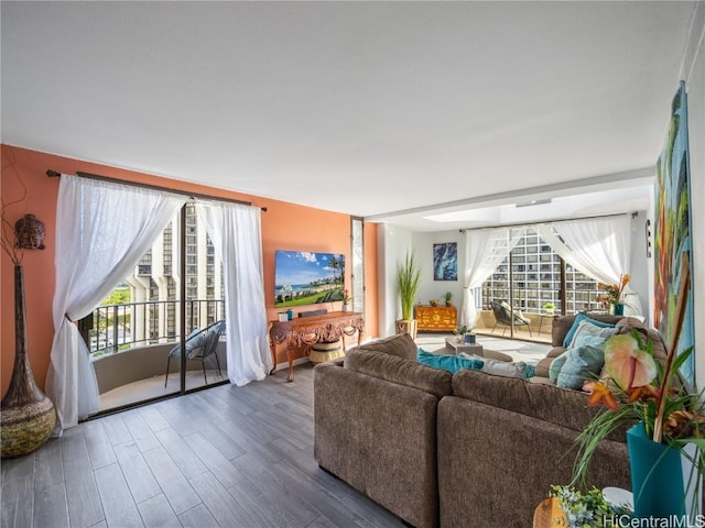 living room with hardwood / wood-style flooring and a wealth of natural light