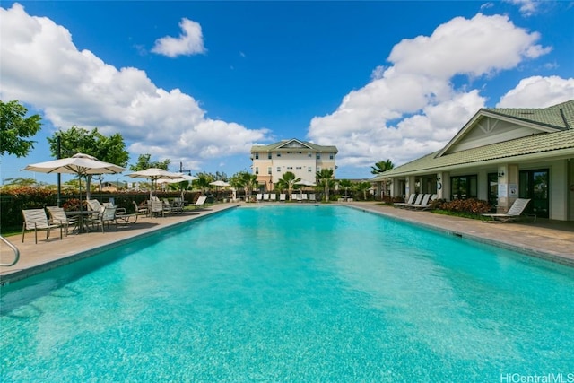 view of pool with a patio area