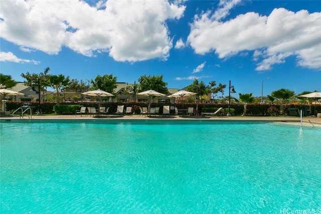 view of swimming pool