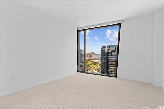 carpeted spare room featuring a wall of windows and plenty of natural light