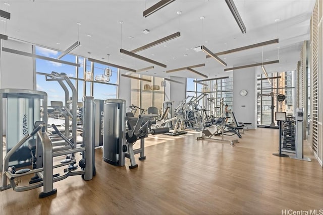 gym featuring floor to ceiling windows and hardwood / wood-style floors