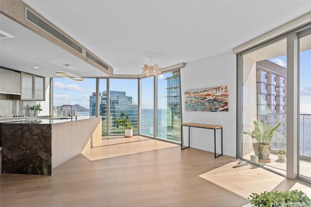 interior space with a notable chandelier, light hardwood / wood-style floors, a wealth of natural light, and sink