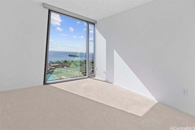 spare room with a wall of windows, carpet, and a water view