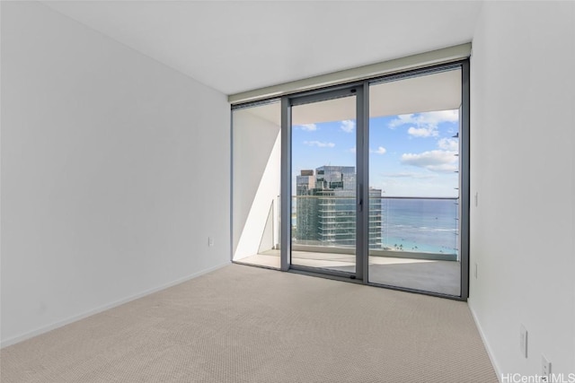 unfurnished room featuring a wall of windows, light carpet, and a water view