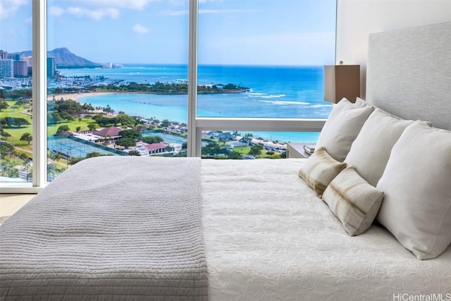 bedroom featuring a water view and multiple windows