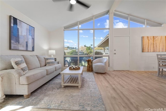 living room with floor to ceiling windows, hardwood / wood-style floors, lofted ceiling with beams, and ceiling fan