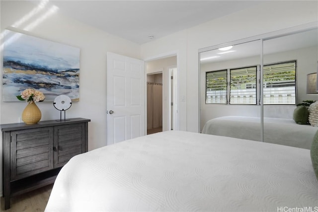 bedroom with a closet and wood-type flooring