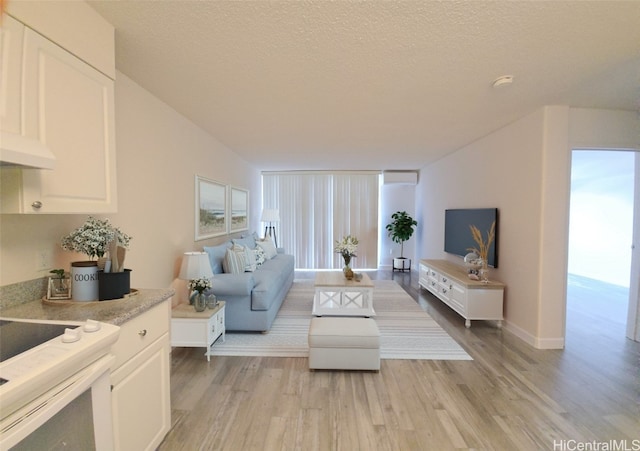 living room featuring a textured ceiling and light wood-type flooring