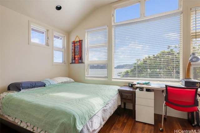 bedroom featuring dark wood-type flooring and lofted ceiling