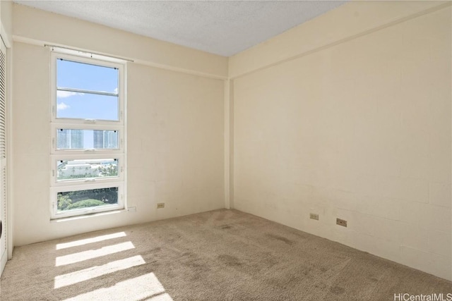 unfurnished room with a textured ceiling, carpet, and a healthy amount of sunlight