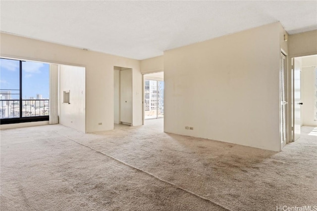 spare room with light colored carpet