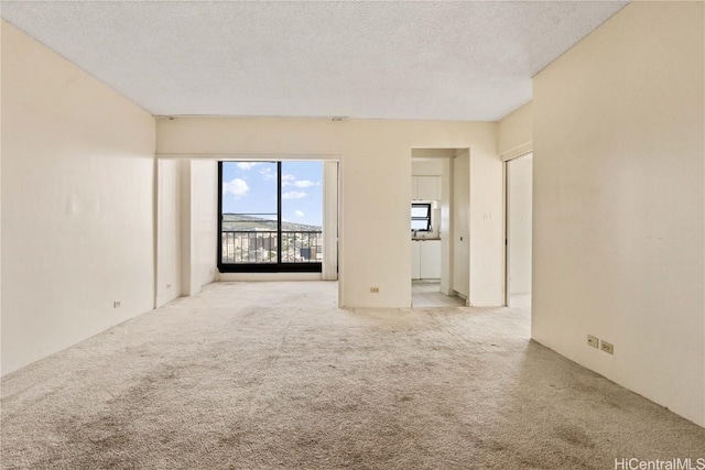 unfurnished room with light colored carpet and a textured ceiling